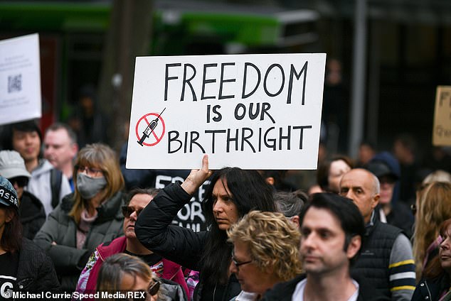 freedom placard